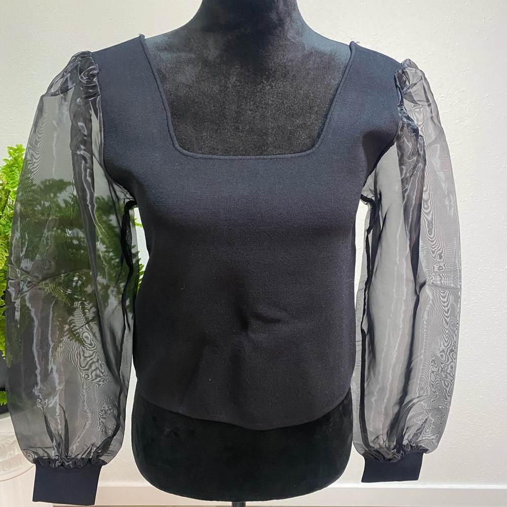 House of Harlow 1960 Sheer Puff Sleeves Black Size Large NWT